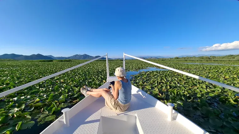 Lily fields seen from the bow of the boat