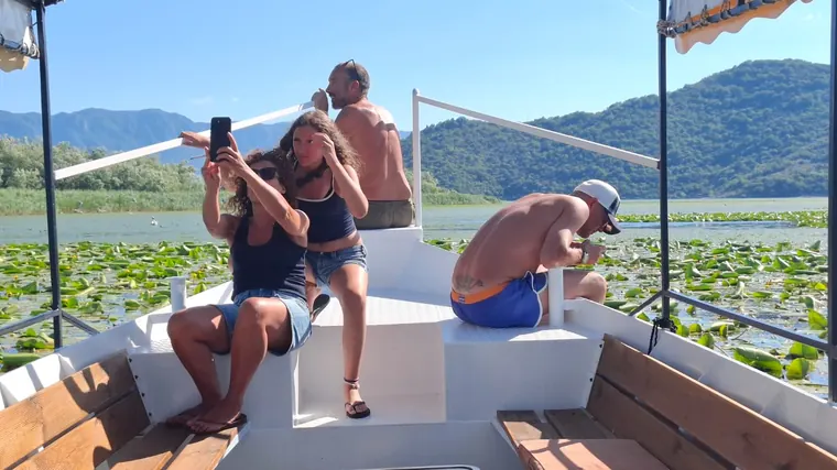 Guests watching birds with binoculars